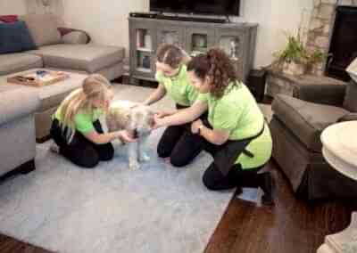 We love pets | Helping Hands Cleaning Services