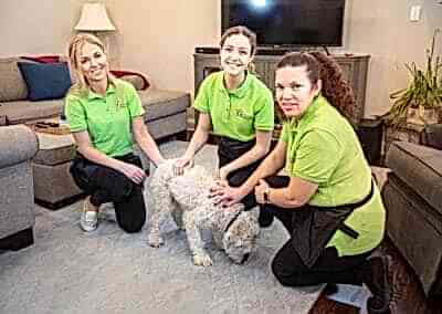 We are friendly to all pets | Helping Hands Cleaning Services