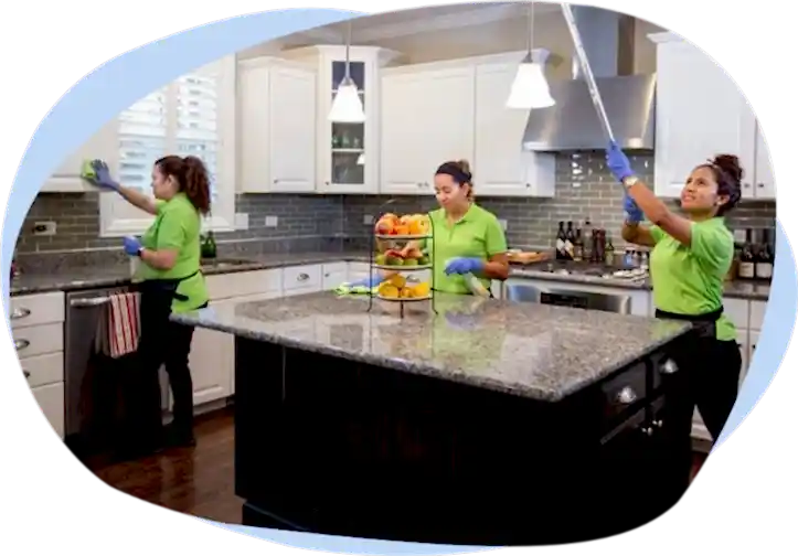 house cleaning elmhurst il