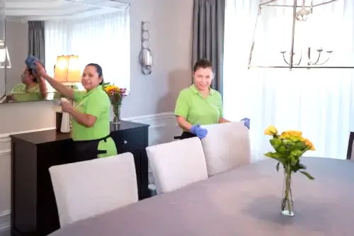 house cleaning Oakbrook Terrace IL