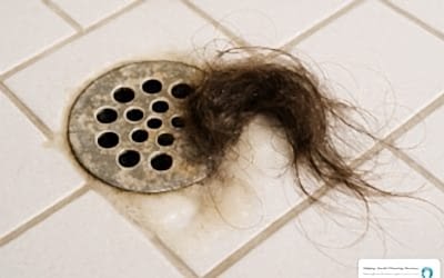 Shower Drain SOS – Safe and Simple Unclogging Tips